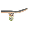 DECA-Murphys-Cactus-Looking-Sharp-Skateboard-Truck